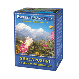 EVEREST AYURVEDA Shatapushpi při absenci menstruace sypaný čaj 100 g