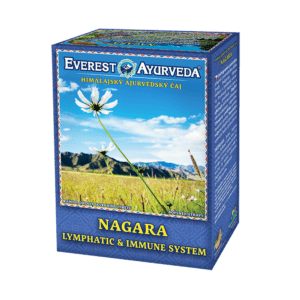 EVEREST AYURVEDA Nagara lymfatický systém a imunita sypaný čaj 100 g