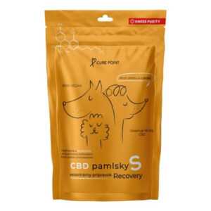 CURE POINT CBD Recovery S Pamlsky pro psy 100 g