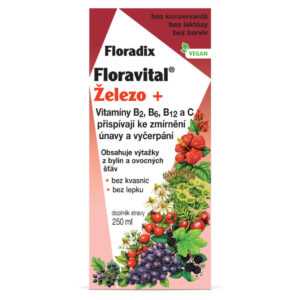 SALUS Floradix floravital železo+ sirup 250 ml