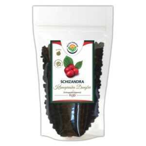 SALVIA PARADISE Schizandra klanopraška plod Dongbei 100 g